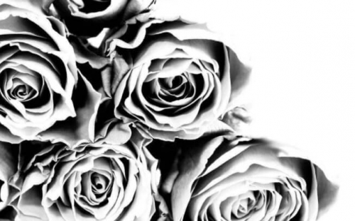 Фотошпалери Букет з троянд