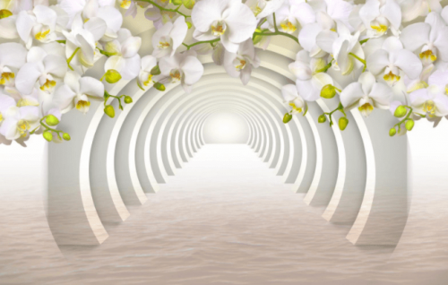 Фотошпалери Біла орхідея над аркою