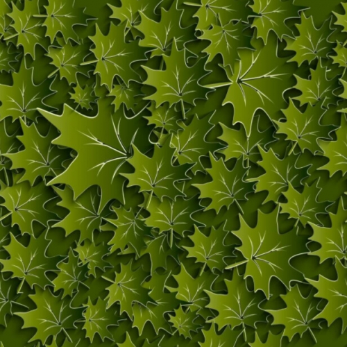 Фотошпалери Зелене листя
