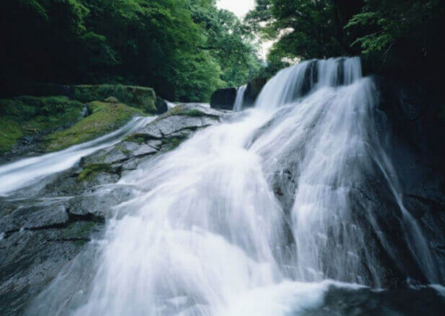Фотошпалери Лісовий водоспад