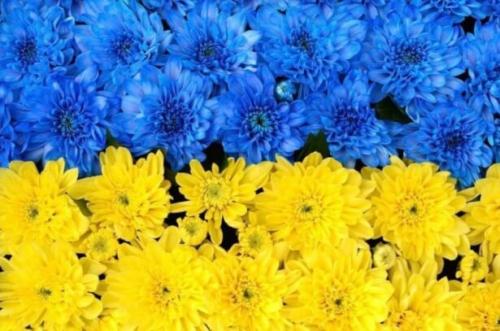 Фотошпалери Прапор України з квітів