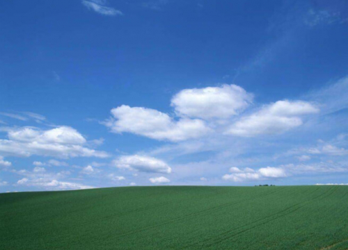 Фотошпалери Хмари над полем